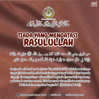 61
